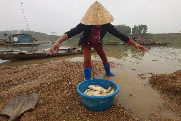 hang-chuc-long-ca-o-thanh-hoa-chet-noi-trang-song-sau-vet-nuoc-den-bat-thuong-9