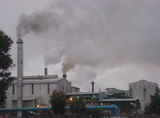 Xử lý nghiêm mọi tổ chức, cá nhân có hành vi gây ô nhiễm môi trường