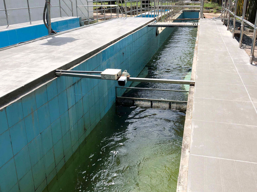 Triển khai nhanh, hiệu quả các nhiệm vụ chuyên môn