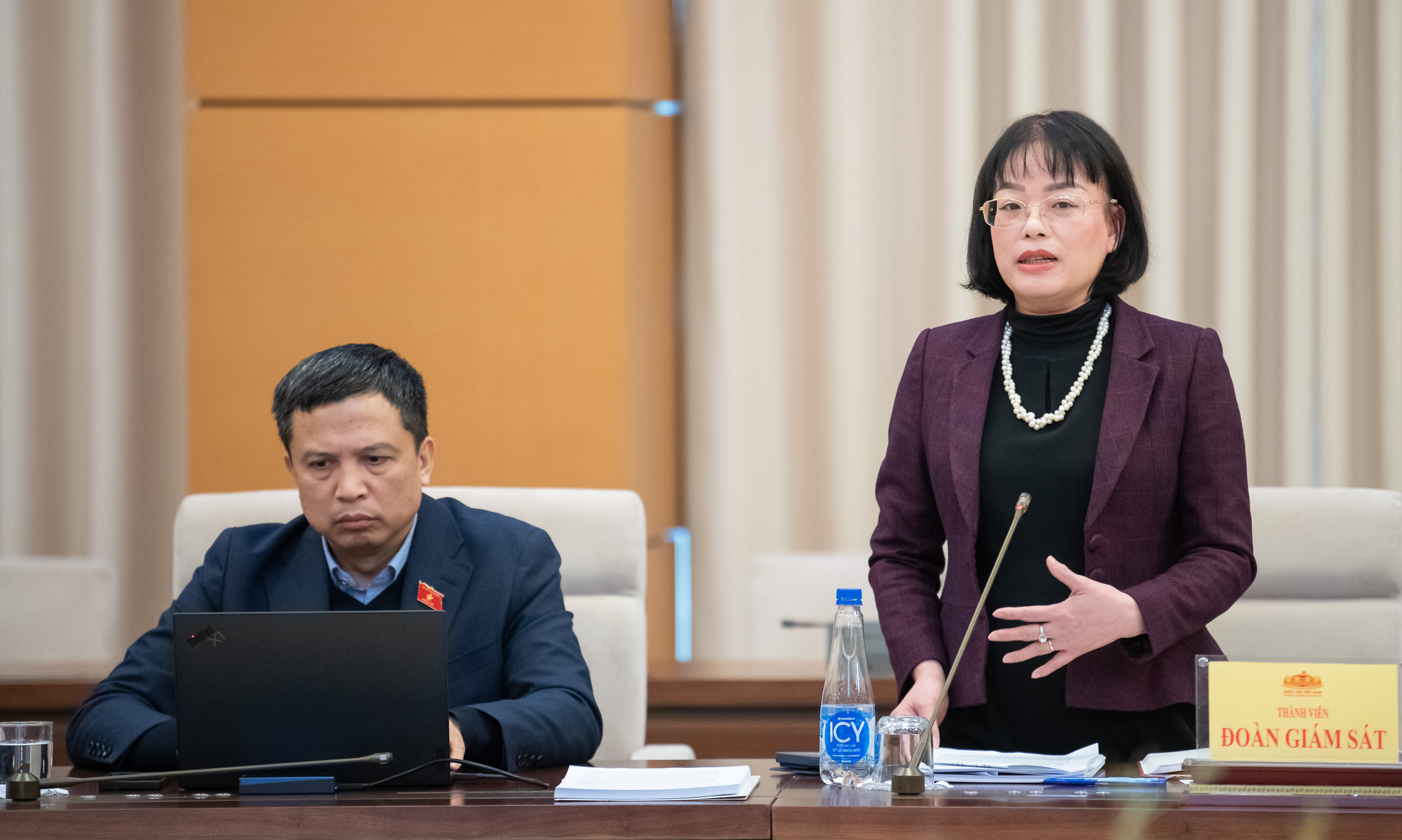 Phó Chủ nhiệm Ủy ban Pháp luật Nguyễn Thị Mai Phương