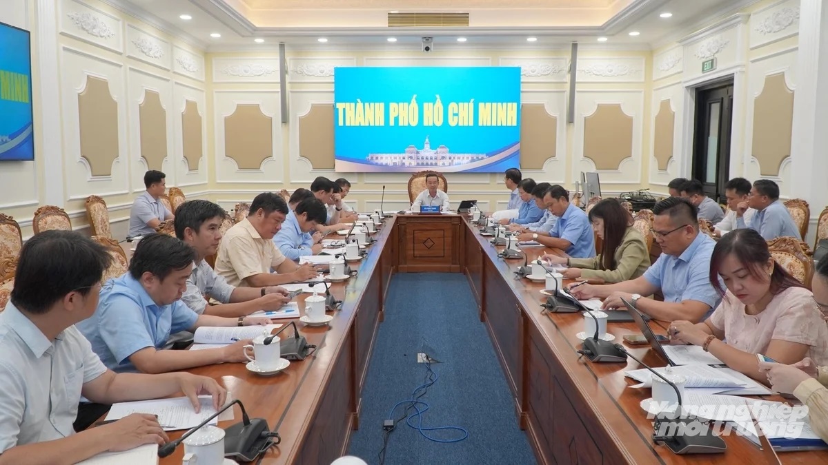 TP.HCM tìm lời giải cho những ‘núi rác’ triệu tấn