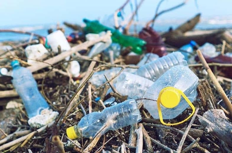 Nhựa sinh học từ đường: Bước tiến mới trong cuộc chiến chống rác thải?